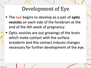 Development of Eye
• The eye begins to develop as a pair of optic
vesicles on each side of the forebrain at the
end of the 4th week of pregnancy.
• Optic vesicles are out growings of the brain
which make contact with the surface
ectoderm and this contact induces changes
necessary for further development of the eye.
 