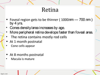 Retina
• Foveal region gets to be thinner ( 1000лm --- 700 лm )
by 4 yrs.
• Conesdensity/areaincreasesby age.
• Moreperipheral retinadevelopsfaster than foveal area.
• The retina contains mostly rod cells
• At 1 month postnatal
• Cone cells appear
• At 8 months postnatal
• Macula is mature
 