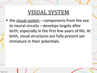 VISUAL SYSTEM
• the visual system – components from the eye
to neural circuits – develops largely after
birth, especially in the first few years of life. At
birth, visual structures are fully present yet
immature in their potentials.
 