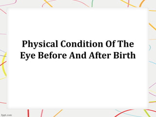 Physical Condition Of The
Eye Before And After Birth
 