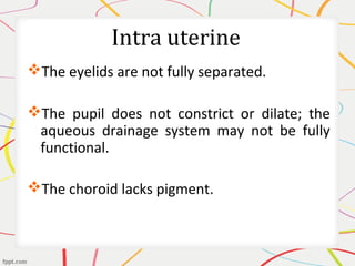 Intra uterine
The eyelids are not fully separated.
The pupil does not constrict or dilate; the
aqueous drainage system may not be fully
functional.
The choroid lacks pigment.
 