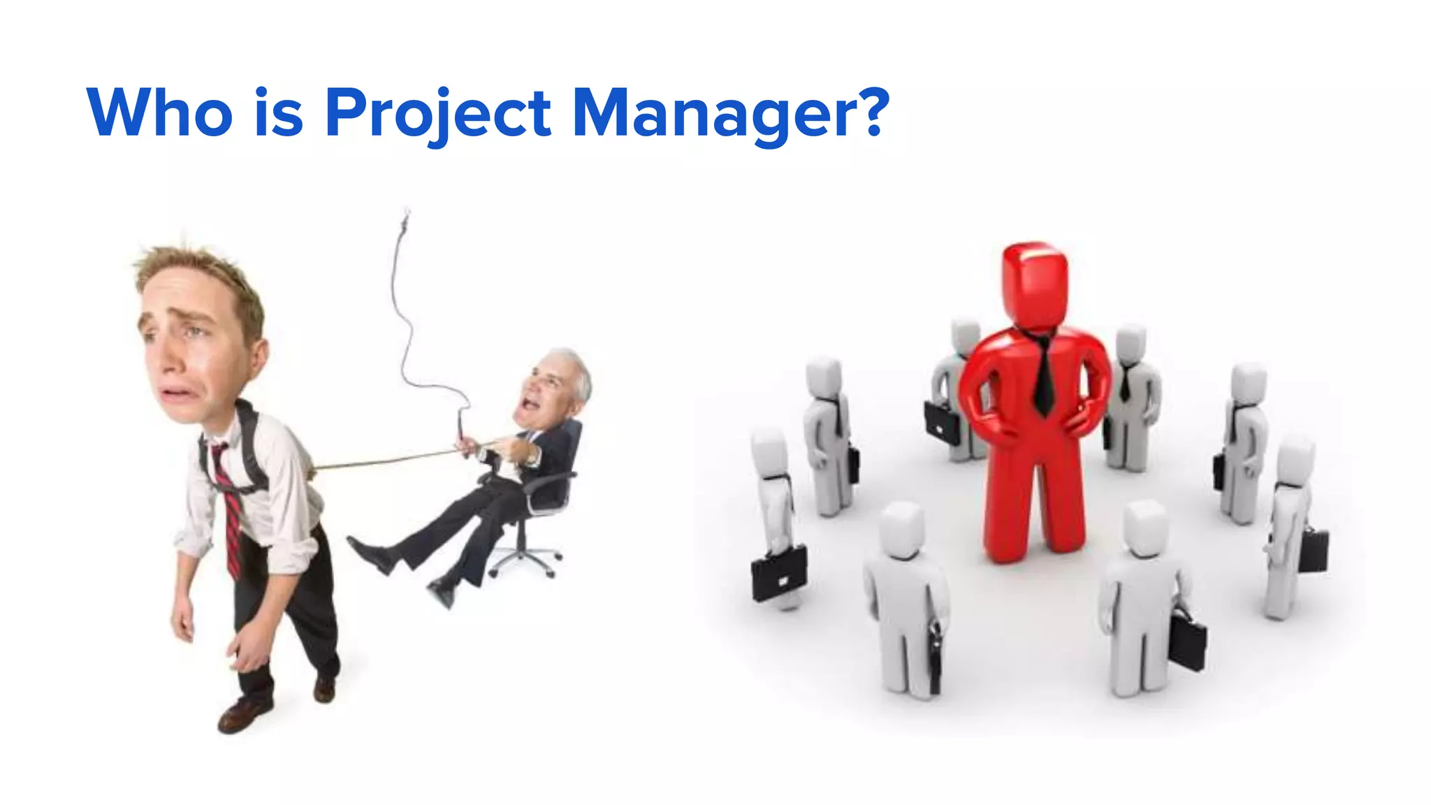 Who is Project Manager?
 