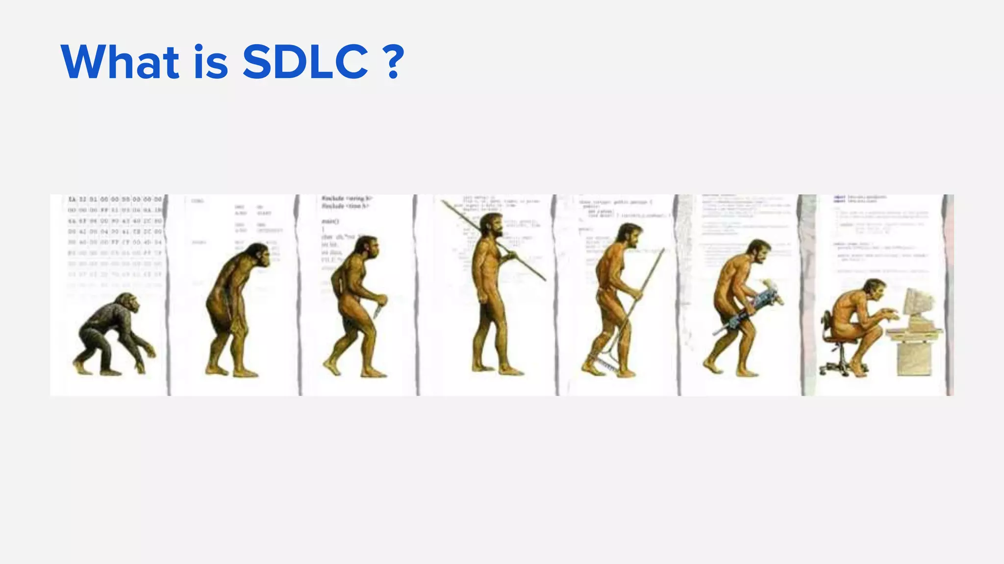 What is SDLC ?
 