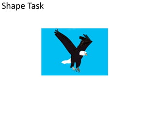 Shape Task 
 