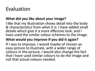 Evaluation 
What did you like about your image? 
I like that my illustration shows detail into the body 
& characteristics from what it is. I have added small 
details which give it a more effective look, and I 
have used the similar colour schemes to the image. 
What would you improve if you did it again? 
If I was to improve, I would maybe of chosen an 
easy picture to illustrate, with a wider range of 
colours in the picture. I would also change the fact 
that I have used similar colours to do the image and 
not that actual colours needed. 
 