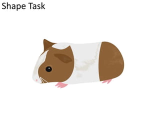 Shape Task 
 