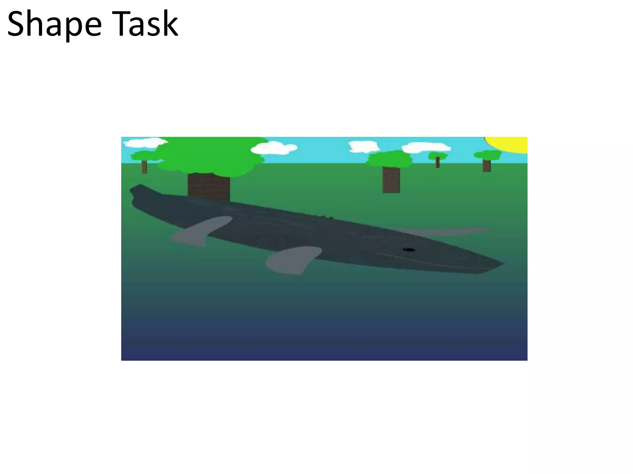 Shape Task 
 