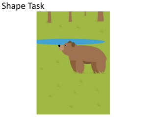 Shape Task
 