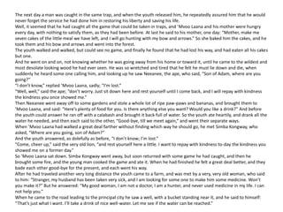 The next day a man was caught in the same trap, and when the youth released him, he repeatedly assured him that he would
never forget the service he had done him in restoring his liberty and saving his life.
Well, it seemed that he had caught all the game that could be taken in traps, and ’Mvoo Laana and his mother were hungry
every day, with nothing to satisfy them, as they had been before. At last he said to his mother, one day: “Mother, make me
seven cakes of the little meal we have left, and I will go hunting with my bow and arrows.” So she baked him the cakes, and he
took them and his bow and arrows and went into the forest.
The youth walked and walked, but could see no game, and finally he found that he had lost his way, and had eaten all his cakes
but one.
And he went on and on, not knowing whether he was going away from his home or toward it, until he came to the wildest and
most desolate looking wood he had ever seen. He was so wretched and tired that he felt he must lie down and die, when
suddenly he heard some one calling him, and looking up he saw Neeanee, the ape, who said, “Son of Adam, where are you
going?”
“I don’t know,” replied ’Mvoo Laana, sadly; “I’m lost.”
“Well, well,” said the ape; “don’t worry. Just sit down here and rest yourself until I come back, and I will repay with kindness
the kindness you once showed me.”
Then Neeanee went away off to some gardens and stole a whole lot of ripe paw-paws and bananas, and brought them to
’Mvoo Laana, and said: “Here’s plenty of food for you. Is there anything else you want? Would you like a drink?” And before
the youth could answer he ran off with a calabash and brought it back full of water. So the youth ate heartily, and drank all the
water he needed, and then each said to the other, “Good-bye, till we meet again,” and went their separate ways.
When ’Mvoo Laana had walked a great deal farther without finding which way he should go, he met Simba Kongway, who
asked, “Where are you going, son of Adam?”
And the youth answered, as dolefully as before, “I don’t know; I’m lost.”
“Come, cheer up,” said the very old lion, “and rest yourself here a little. I want to repay with kindness to-day the kindness you
showed me on a former day.”
So ’Mvoo Laana sat down. Simba Kongway went away, but soon returned with some game he had caught, and then he
brought some fire, and the young man cooked the game and ate it. When he had finished he felt a great deal better, and they
bade each other good-bye for the present, and each went his way.
After he had traveled another very long distance the youth came to a farm, and was met by a very, very old woman, who said
to him: “Stranger, my husband has been taken very sick, and I am looking for some one to make him some medicine. Won’t
you make it?” But he answered: “My good woman, I am not a doctor, I am a hunter, and never used medicine in my life. I can
not help you.”
When he came to the road leading to the principal city he saw a well, with a bucket standing near it, and he said to himself:
“That’s just what I want. I’ll take a drink of nice well-water. Let me see if the water can be reached.”
 