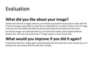 Evaluation
What did you like about your image?
Certainly for the final 2 images I liked my use of features around the actual picture itself, with the
3rd picture having a wave effect to make the car looking like it is in motion, where as the 4th image
I like my use of the shadow like effect to pick out and make the bird stand out even more.
For the first image I am impressed with my use of the Filter Gallery and to explore different
features of it. This was also used on the 2nd image to give it a more artistic look.
What would you improve if you did it again?
If I did these exact four images again I would possibly look into make even more my own but in all
honesty I am very content with my edits that I created.
 