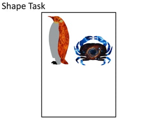 Shape Task
 
