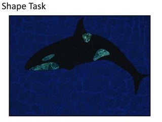 Shape Task
 