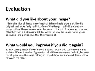 Evaluation
What did you like about your image?
I like quite a lot of things in my image as I think that it looks a lot like the
original, and looks fairly realistic. One of the things I really like about my
image is the different colour tones because I think it looks more textured and
3D rather than it just looking 2D. I also like the way the image draws you in
because of the perspective that the image is at.
What would you improve if you did it again?
To improve my image if I were to do it again, I would add some more plants
and use different shades of green to make it look even more realistic, because
not all plants are the same colour, so I could show some more differentiation
between the plants.
 