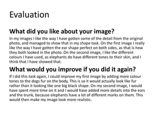Evaluation
What did you like about your image?
In my images I like the way I have gotten some of the detail from the original
photo, and managed to show that in my shape task. On the first image I really
like the way I have gotten the ear shape perfect on both sides, as that is how
they both looked in the photo. On the second image, I like the different
colours I have used, as elephants do have different tones to their skin, and I
think that I have showed that.
What would you improve if you did it again?
If I did this task again, I could improve my first image by adding more colour
tones to the dogs fur on the body. This is so it would actually look like fur
rather than it looking like one big black shape. On my second image, I would
have spent more time on it and I would have added more details into the ears
and the trunk, because elephants have a lot of different marks on them. This
would then make my image look more realistic.
 