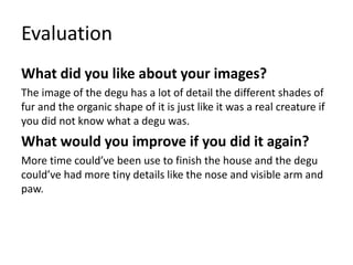 Evaluation
What did you like about your images?
The image of the degu has a lot of detail the different shades of
fur and the organic shape of it is just like it was a real creature if
you did not know what a degu was.
What would you improve if you did it again?
More time could’ve been use to finish the house and the degu
could’ve had more tiny details like the nose and visible arm and
paw.
 