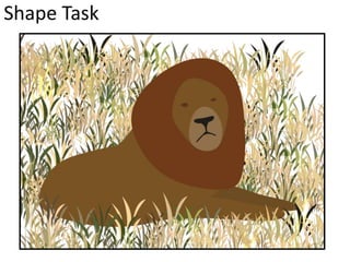 Shape Task
 