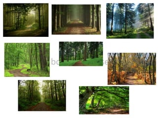 Mood board of chosen idea
 