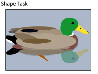 Shape Task
 