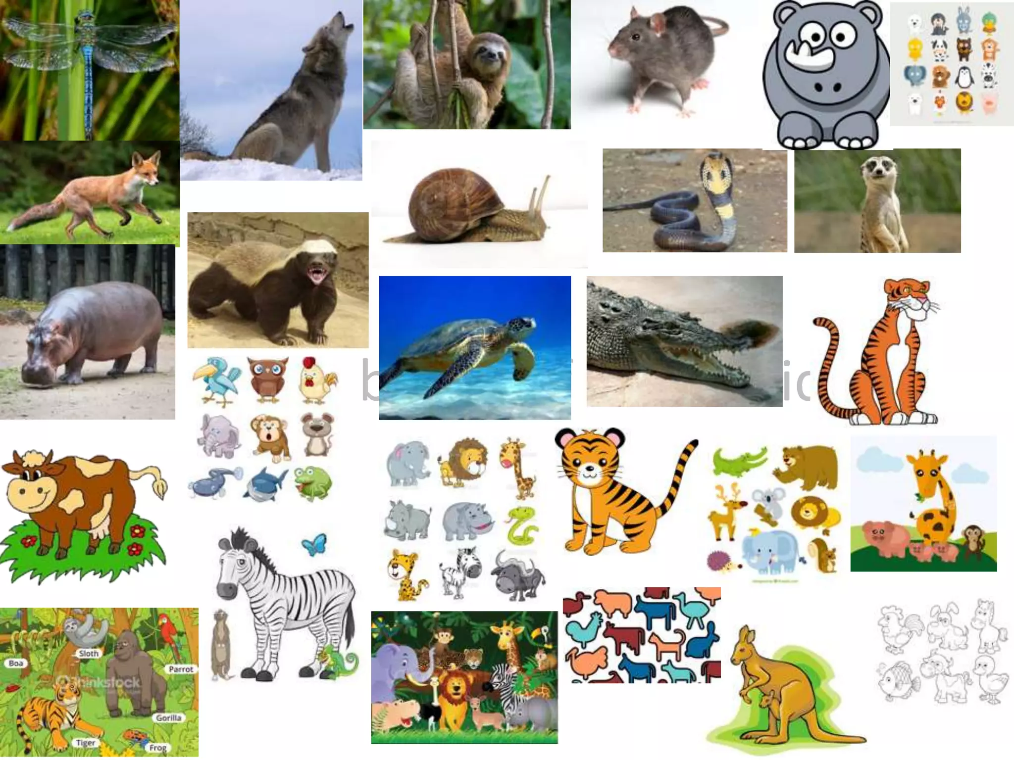 Mood board of chosen idea
 