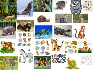 Mood board of chosen idea
 