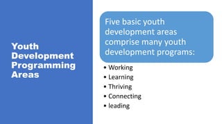 Youth
Development
Programming
Areas
Five basic youth
development areas
comprise many youth
development programs:
• Working
• Learning
• Thriving
• Connecting
• leading
 
