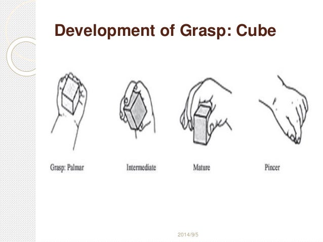 Development Short Cases Approach - 638x479 - jpeg Development Of Hand Grasp