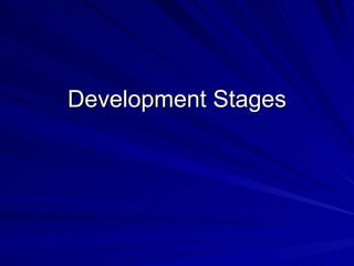 Development Stages
 