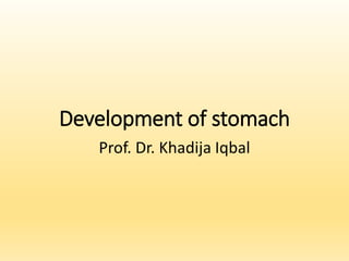Development of stomach
Prof. Dr. Khadija Iqbal
 