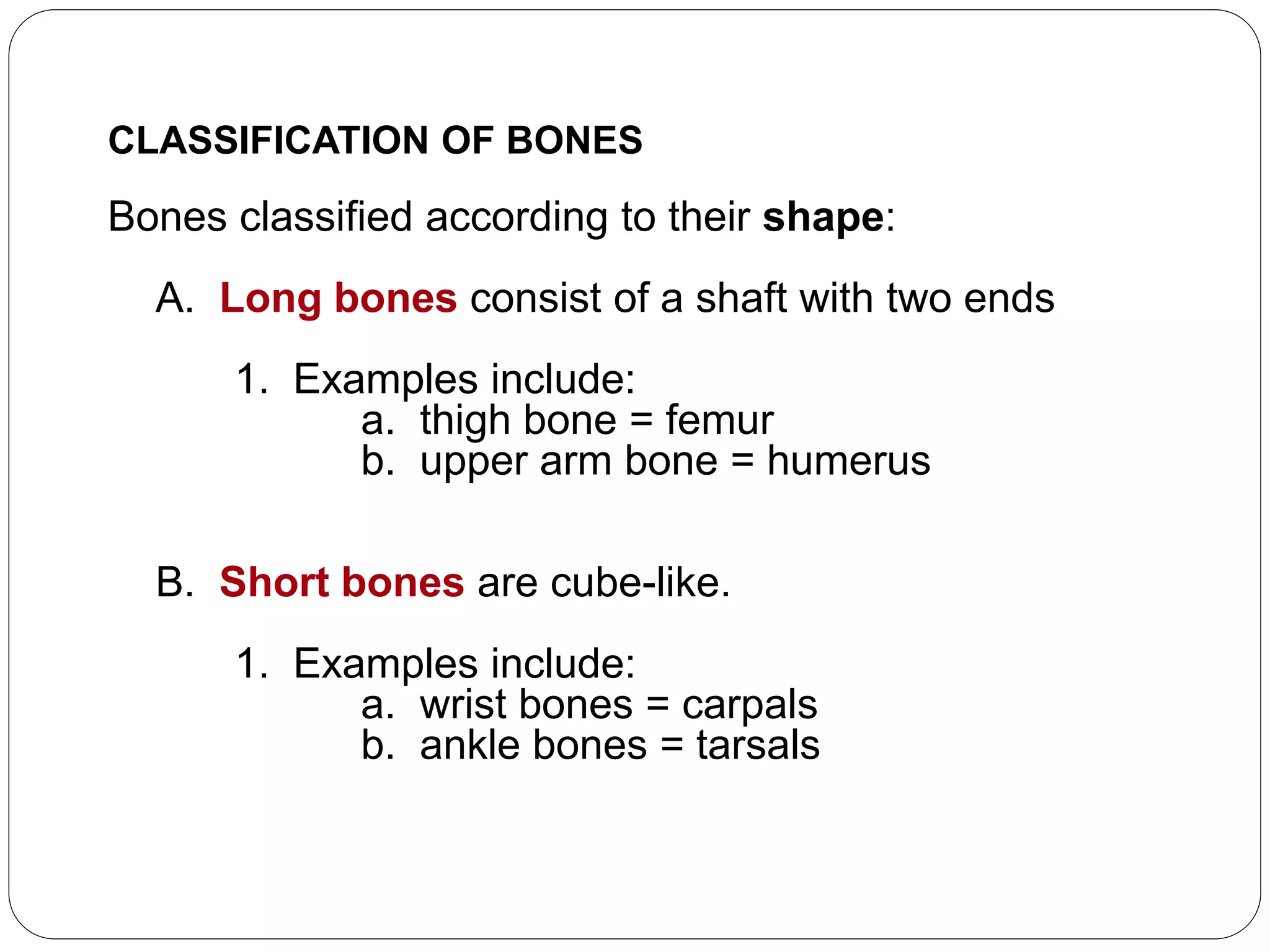 CLASSIFICATION OF BONES
Bones classified according to their shape:
A. Long bones consist of a shaft with two ends
1. Examples include:
a. thigh bone = femur
b. upper arm bone = humerus
B. Short bones are cube-like.
1. Examples include:
a. wrist bones = carpals
b. ankle bones = tarsals
 