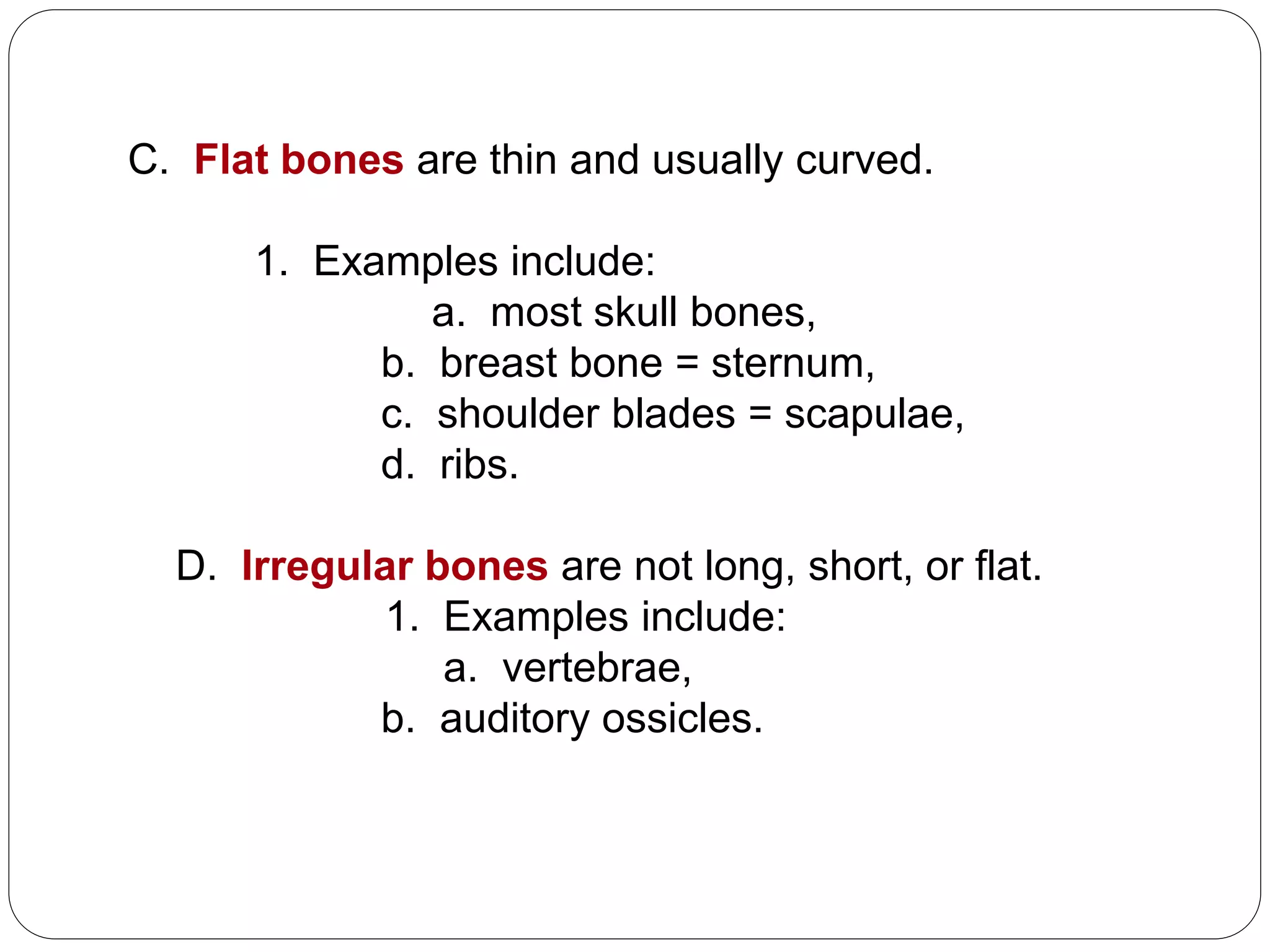 C. Flat bones are thin and usually curved.
1. Examples include:
a. most skull bones,
b. breast bone = sternum,
c. shoulder blades = scapulae,
d. ribs.
D. Irregular bones are not long, short, or flat.
1. Examples include:
a. vertebrae,
b. auditory ossicles.
 