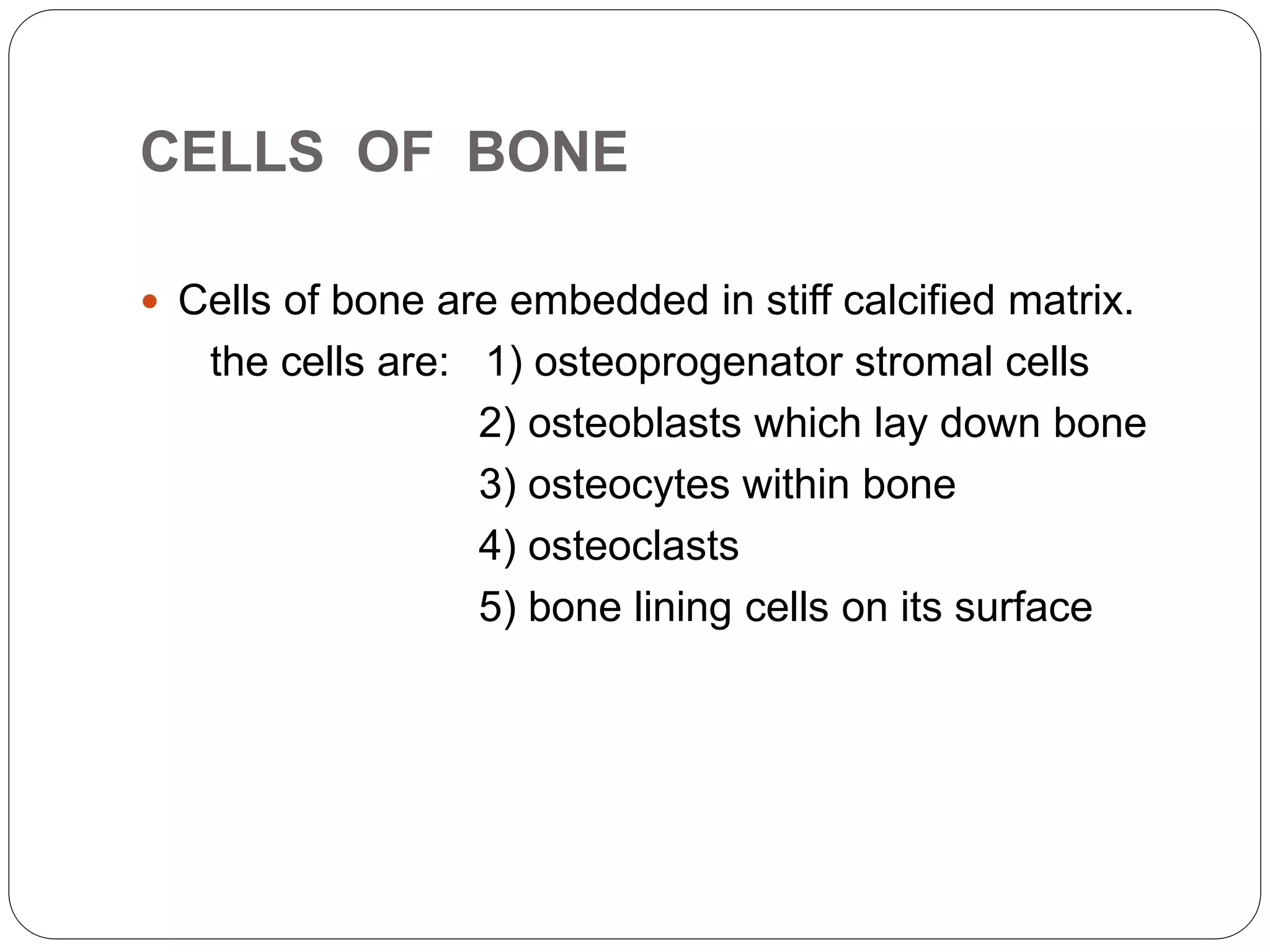 CELLS OF BONE
 Cells of bone are embedded in stiff calcified matrix.
the cells are: 1) osteoprogenator stromal cells
2) osteoblasts which lay down bone
3) osteocytes within bone
4) osteoclasts
5) bone lining cells on its surface
 