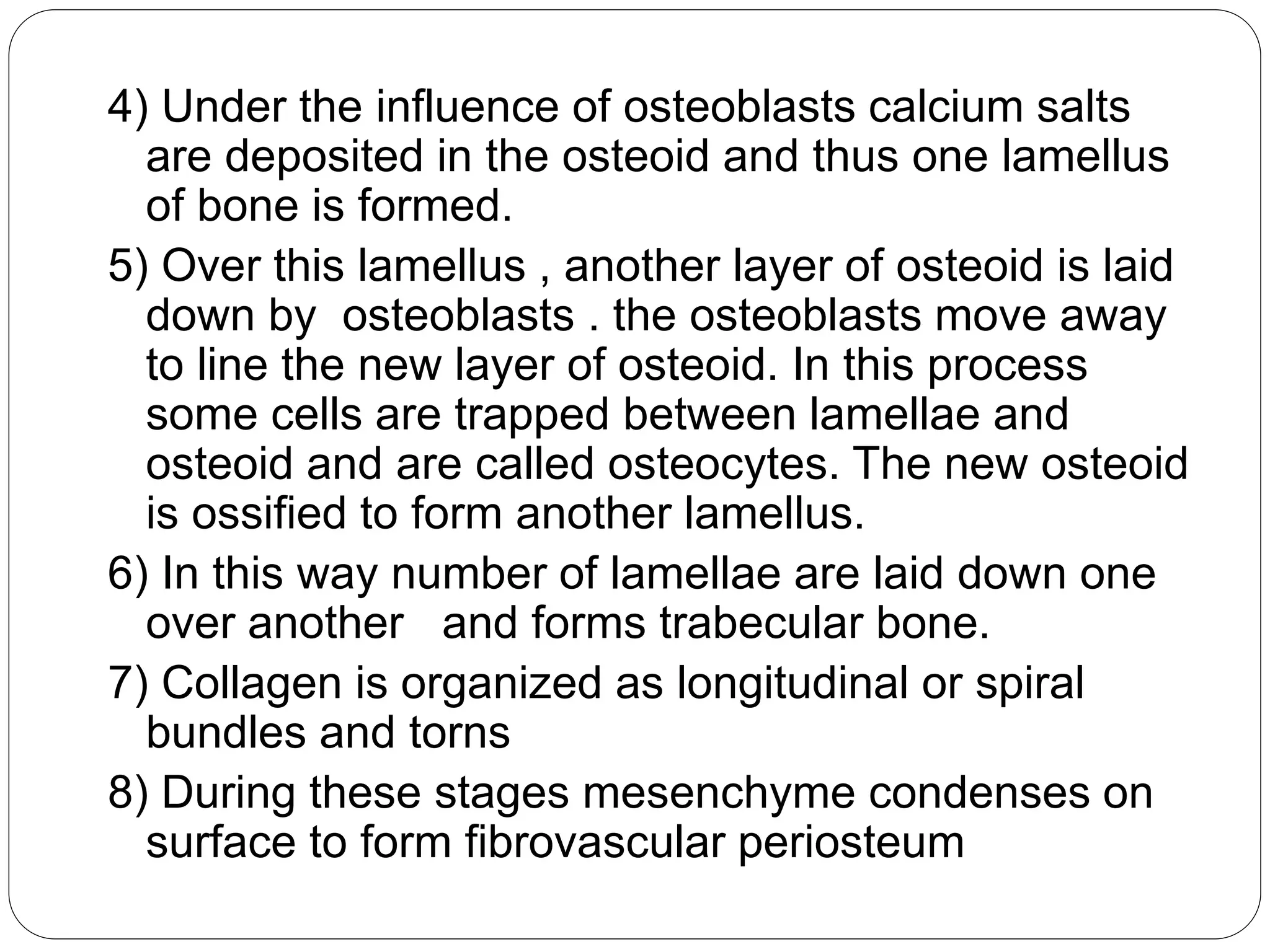4) Under the influence of osteoblasts calcium salts
are deposited in the osteoid and thus one lamellus
of bone is formed.
5) Over this lamellus , another layer of osteoid is laid
down by osteoblasts . the osteoblasts move away
to line the new layer of osteoid. In this process
some cells are trapped between lamellae and
osteoid and are called osteocytes. The new osteoid
is ossified to form another lamellus.
6) In this way number of lamellae are laid down one
over another and forms trabecular bone.
7) Collagen is organized as longitudinal or spiral
bundles and torns
8) During these stages mesenchyme condenses on
surface to form fibrovascular periosteum
 