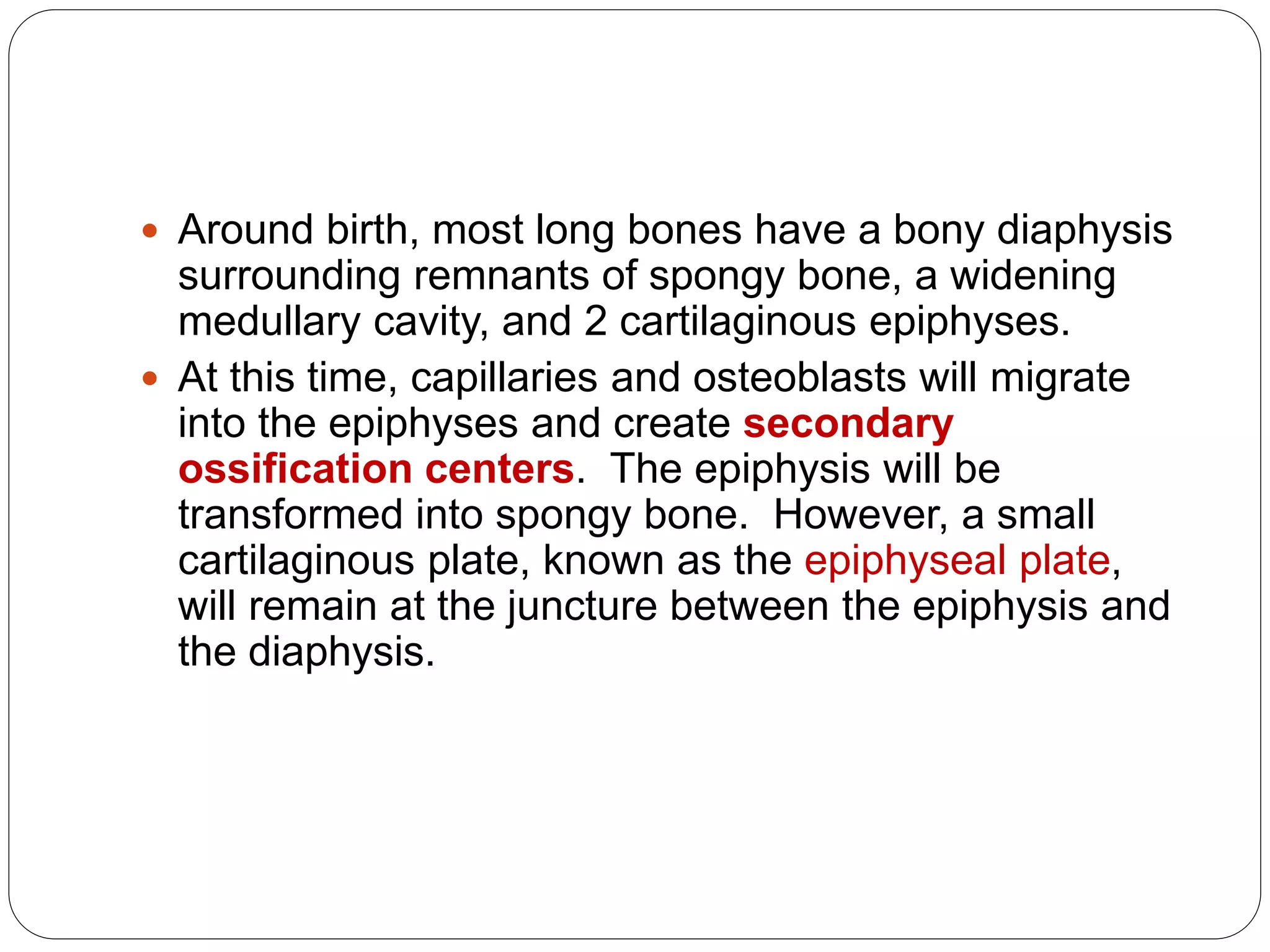  Around birth, most long bones have a bony diaphysis
surrounding remnants of spongy bone, a widening
medullary cavity, and 2 cartilaginous epiphyses.
 At this time, capillaries and osteoblasts will migrate
into the epiphyses and create secondary
ossification centers. The epiphysis will be
transformed into spongy bone. However, a small
cartilaginous plate, known as the epiphyseal plate,
will remain at the juncture between the epiphysis and
the diaphysis.
 
