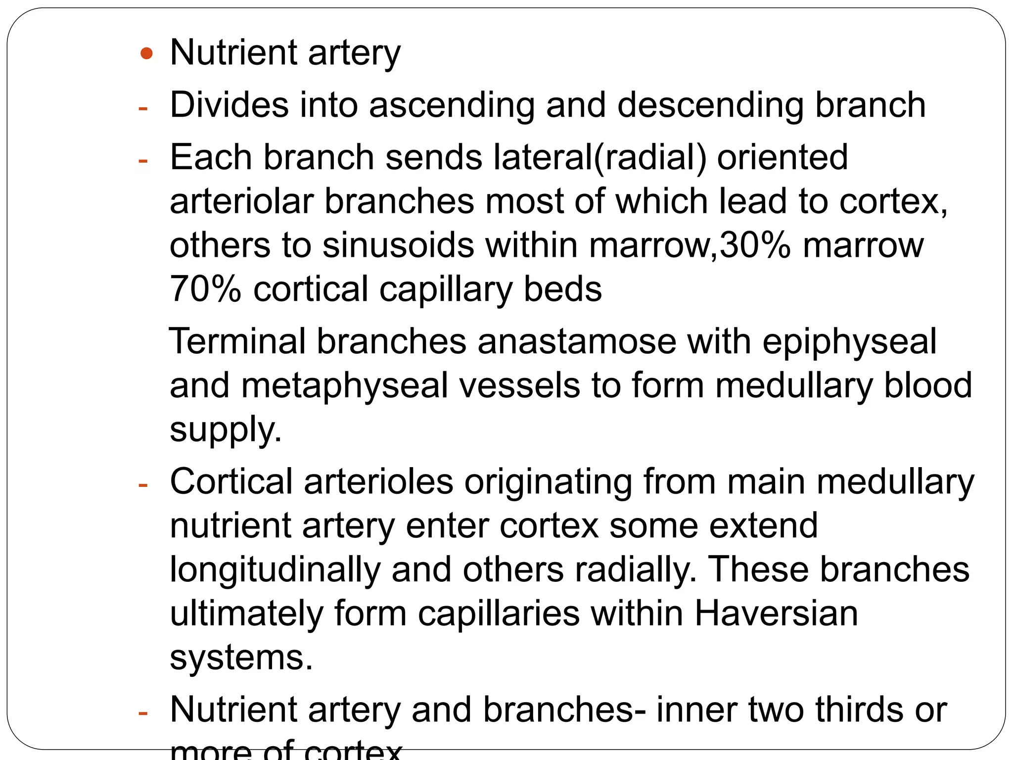  Nutrient artery
- Divides into ascending and descending branch
- Each branch sends lateral(radial) oriented
arteriolar branches most of which lead to cortex,
others to sinusoids within marrow,30% marrow
70% cortical capillary beds
Terminal branches anastamose with epiphyseal
and metaphyseal vessels to form medullary blood
supply.
- Cortical arterioles originating from main medullary
nutrient artery enter cortex some extend
longitudinally and others radially. These branches
ultimately form capillaries within Haversian
systems.
- Nutrient artery and branches- inner two thirds or
 