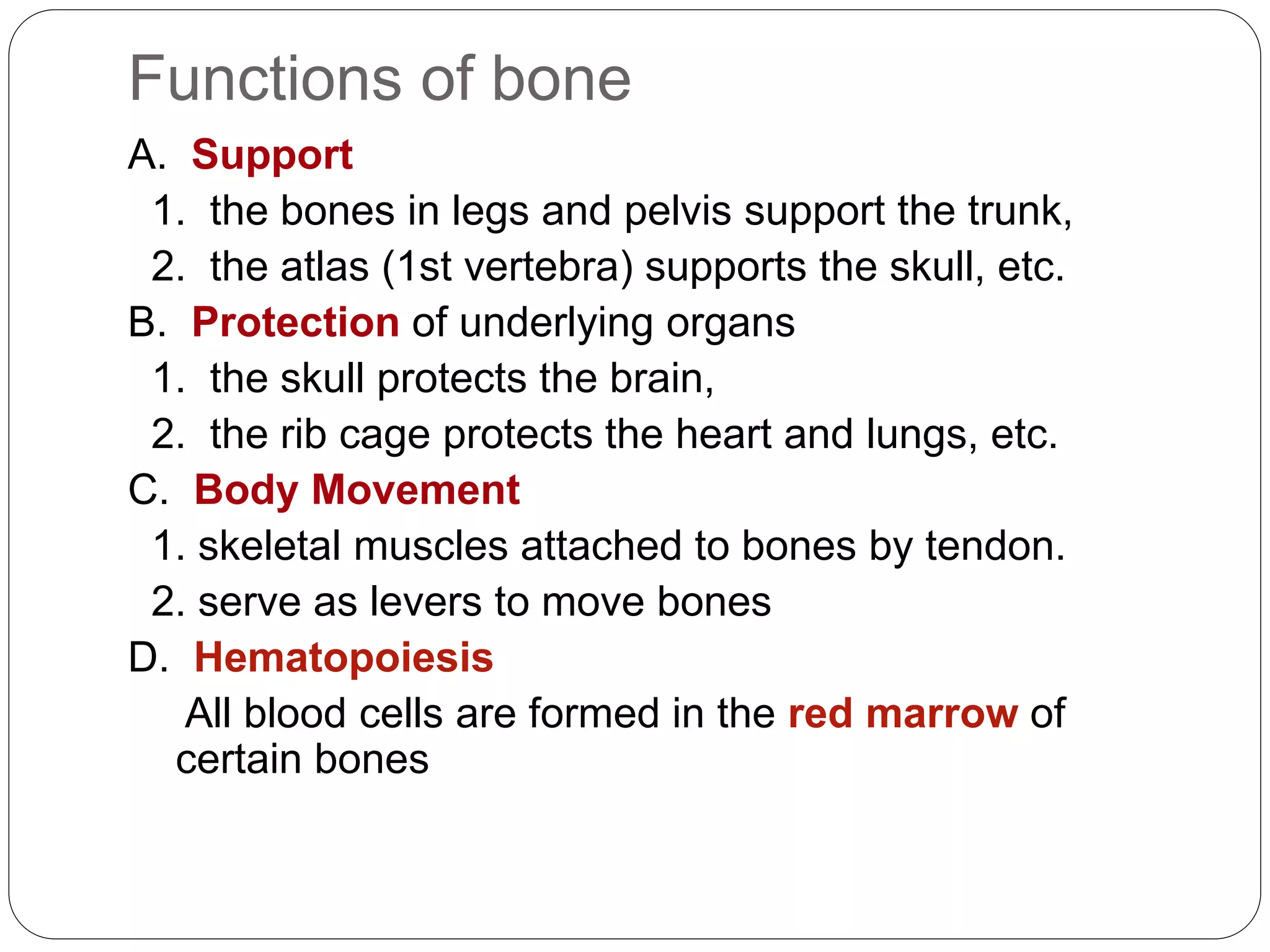 Functions of bone
A. Support
1. the bones in legs and pelvis support the trunk,
2. the atlas (1st vertebra) supports the skull, etc.
B. Protection of underlying organs
1. the skull protects the brain,
2. the rib cage protects the heart and lungs, etc.
C. Body Movement
1. skeletal muscles attached to bones by tendon.
2. serve as levers to move bones
D. Hematopoiesis
All blood cells are formed in the red marrow of
certain bones
 