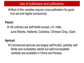 Use of pollinizers and pollinators :
Most of the varieties require cross pollination for good
fruit set and higher productivity.
Peach:
 All cultivars are self-fertile except J.H. Hale,
June Elberta, Halberta, Candoka, Chinese Cling, Giant.
Apricot:
Commercial apricots are largely self-fruitful, partially self
fertile and completely sterile but self-incompatible
varieties are available in China and Russia.
 
