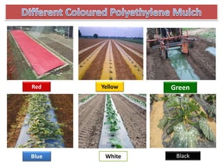 BlackBlue
Red Green
White
Yellow
 