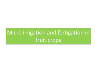 Micro irrigation and fertigation in
fruit crops
 