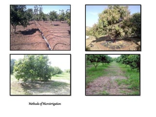 Methods of Microirrigation
 