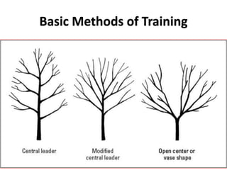 Basic Methods of Training
 