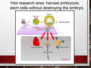 •Hot research area: harvest embryonic
stem cells without destroying the embryo.
 