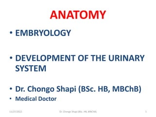 ANATOMY
• EMBRYOLOGY
• DEVELOPMENT OF THE URINARY
SYSTEM
• Dr. Chongo Shapi (BSc. HB, MBChB)
• Medical Doctor
11/27/2022 Dr. Chongo Shapi (BSc. HB, MBChB) 1
 