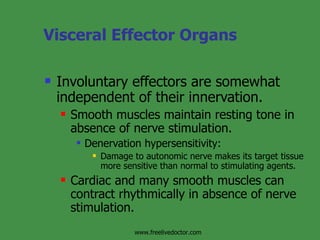 Development& Various Parts Of Peripheral Nervous System | PPT