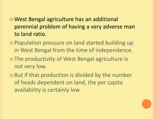  West   Bengal agriculture has an additional
  perennial problem of having a very adverse man
  to land ratio.
 Population pressure on land started building up
  in West Bengal from the time of independence.
 The productivity of West Bengal agriculture is
  not very low.
 But if that production is divided by the number
  of heads dependent on land, the per capita
  availability is certainly low.
 