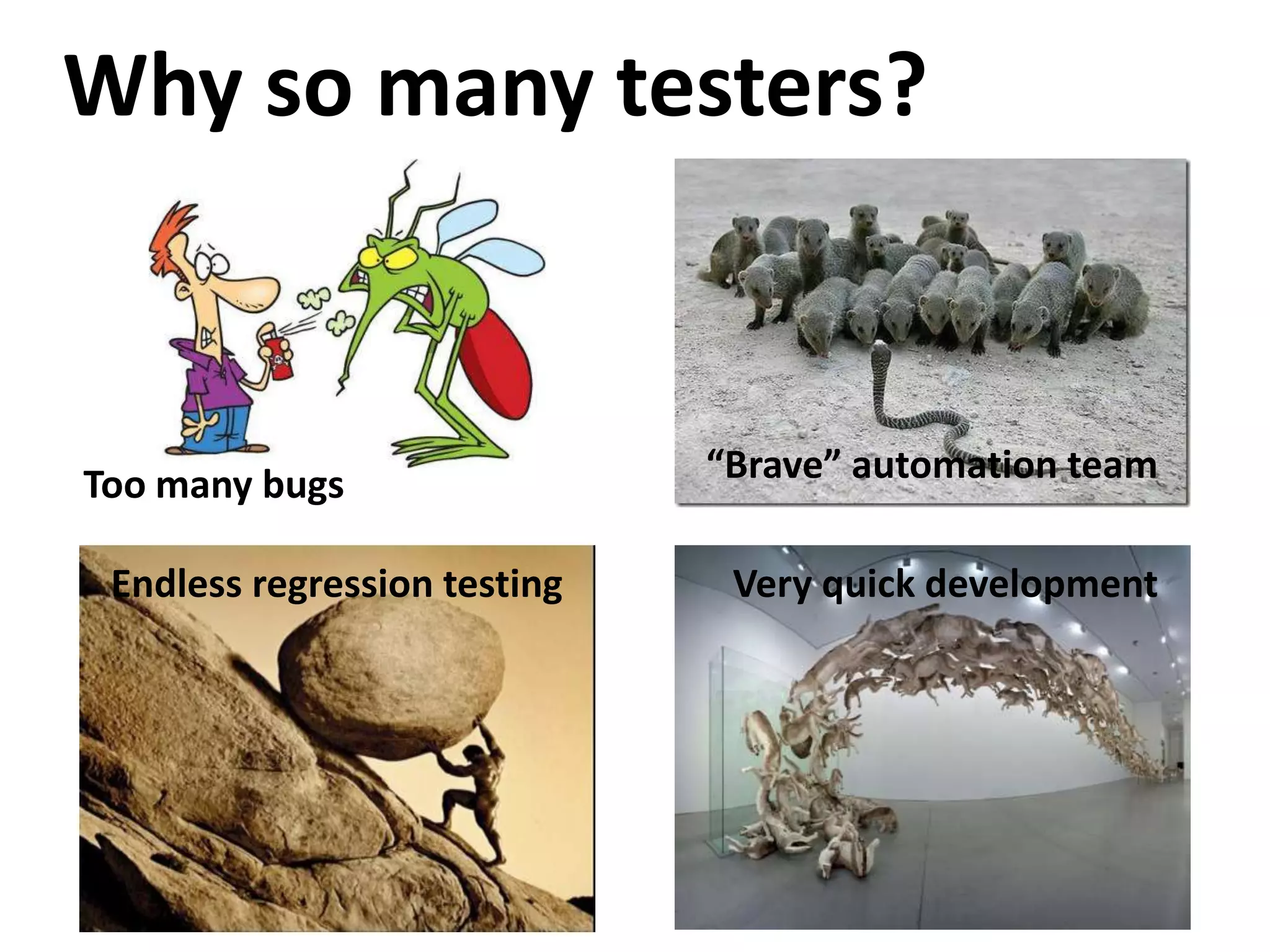 Why so many testers?



Too many bugs                 “Brave” automation team

 Endless regression testing    Very quick development
 