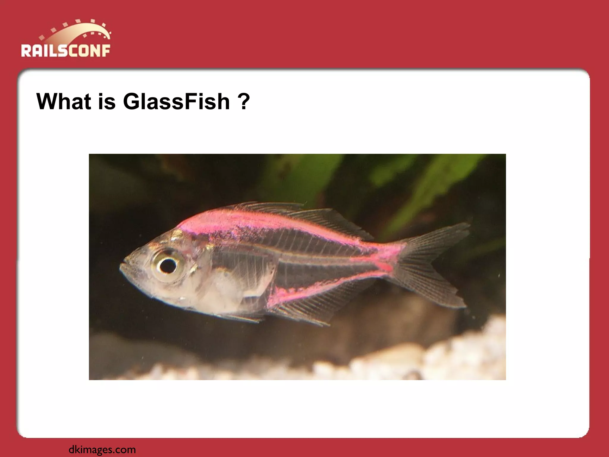 Develop With Pleasure Deploy With Fun Glass Fish And Net Beans For A Better Rails Experience Presentation