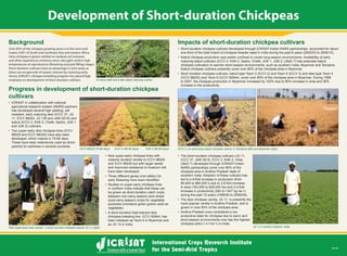 Development of Short-duration Chickpeas
Background
Over 85% of the chickpea growing areas is in the semi-arid
tropics (SAT) of South and southeast Asia and eastern Africa.
Here,chickpea is grown rainfed on residual soil moisture
and often experiences moisture stress (drought) and/or high
temperatures at reproductive (ﬂowering and pod-ﬁlling) stages.
Short-duration cultivars have an advantage in such areas as
these can escape end-of-season stresses by maturing early.
Hence,ICRISAT’s chickpea breeding program has placed high
emphasis on development of short duration cultivars.
Progress in development of short-duration chickpea
cultivars
ICRISAT in collaboration with national
agricultural research system (NARS) partners
has developed several high yielding, wilt
resistant, early maturing desi (ICCC 37, JG
11, ICCV 88202, JG 130 and JAKI 9218) and
kabuli (ICCV 2, KAK 2, Chefe, Sasho, JGK 1
and JGK 2) cultivars.
Two super-early desi chickpea lines (ICCV
96029 and ICCV 96030) have also been
developed, which mature in 75-80 days.
These have been extensively used as donor
parents for earliness in several countries.
Impacts of short-duration chickpea cultivars
Short-duration chickpea cultivars developed through ICRISAT-Indian NARS partnerships accounted for about
one-third of the total indent of chickpea breeder seed in India during the past 8 years (2002/03 to 2009/10).
maturing kabuli cultivars (ICCV 2, KAK 2, Sasho, Chefe, JGK 1, JGK 2, LBeG 7) has extended kabuli
chickpea cultivation to warmer short-season environments, such as southern India, Myanmar and Tanzania.
Kabuli chickpea cultivars presently cover over 60% of the chickpea area in Myanmar.
Short duration chickpea cultivars, kabuli type Yezin 3 (ICCV 2) and Yezin 5 (ICCV 3) and desi type Yezin 4
(ICCV 88202) and Yezin 6 (ICCV 92944), cover over 80% of the chickpea area in Myanmar. During 1998
to 2007, the chickpea production in Myanmar increased by 153% due to 85% increase in area and 36%
increase in the productivity.
New super-early chickpea lines with
maturity duration similar to ICCV 96029
and ICCV 96030 but with larger seeds
and improved resistance to fusarium wilt
have been developed.
Three different genes (non-allelic) for
Studies on super-early chickpea lines
in northern India indicate that these can
be grown as short-duration catch crops
between rice (rainy season) and wheat
(post-rainy season) crops for vegetable
purposes (immature green grains used as
vegetable).
A short-duration heat tolerant desi
chickpea breeding line, ICCV 92944, has
been released as Yezin 6 in Myanmar and
as JG 14 in India.
An early (left) and a late (right) maturing cultivar.
New super-early lines (center 2 rows) and desi chickpea cultivar JG 11 (right).
ICCV 96029 (75-80 days) ICCV 2 (85-90 days) KAK 2 (90-95 days)
The short-duration chickpea cultivars (JG 11,
ICCC 37, JAKI 9218, ICCV 2, KAK 2, Vihar,
LBeG 7) developed through ICRISAT-Indian
NARS partnerships cover over 80% of the
chickpea area in Andhra Pradesh state of
southern India. Adoption of these cultivars has
led to a 9-fold increase in production (from
95,000 to 884,000 t) due to 3.8-fold increase
in area (163,000 to 628,000 ha) and 2.4-fold
increase in productivity (583 to 1407 kg ha-1)
during the past 10 years (1999/00 to 2008/09).
The desi chickpea variety, JG 11, is presently the
most popular variety in Andhra Pradesh, and is
grown in over 60% of the chickpea area.
Andhra Pradesh once considered a low
productive state for chickpea due to warm and
short-season environments now has the highest
chickpea yield (1.4 t ha-1) in India.
ICCV 2, an extra early kabuli chickpea cultivar, in Tanzania (left) and Myanmar (right).
JG 11 in Andhra Pradesh, India.
Nov 09
 