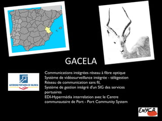 GACELA 
Communications intégrées réseau à fibre optique 
Système de vidéosurveillance intégrée -télégestion 
Réseau de communication sans fil, 
Système de gestion intégré d'un SIG des services portuaires 
EDI-Hypermédia interrelation avec le Centre communautaire de Port -Port CommunitySystem  