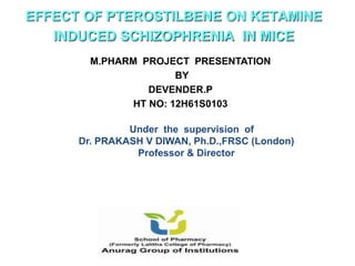 EFFECT OF PTEROSTILBENE ON KETAMINE
INDUCED SCHIZOPHRENIA IN MICE
M.PHARM PROJECT PRESENTATION
BY
DEVENDER.P
HT NO: 12H61S0103
Under the supervision of
Dr. PRAKASH V DIWAN, Ph.D.,FRSC (London)
Professor & Director
 