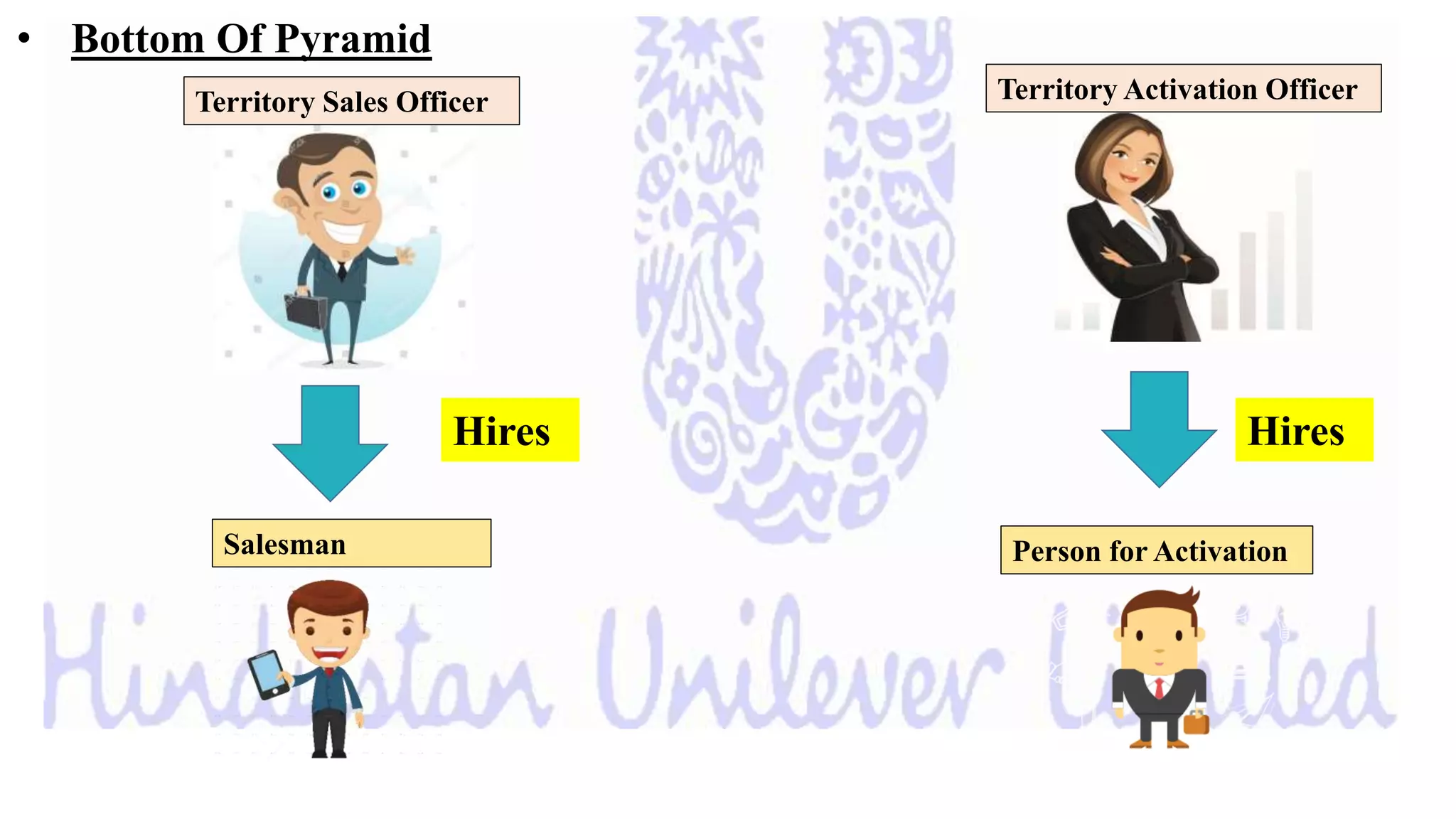 HUL sales hierarchy FMCG Organisation structure of Sales PPTX